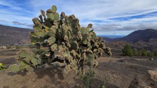 2024-11-GranCan-Guayadeque-076.jpg